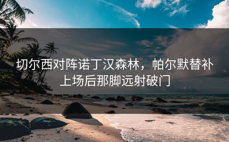 切尔西对阵诺丁汉森林，帕尔默替补上场后那脚远射破门